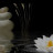 Musica Zen per Meditazione e Rilassamento