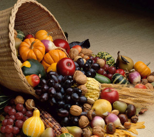 cornucopia
